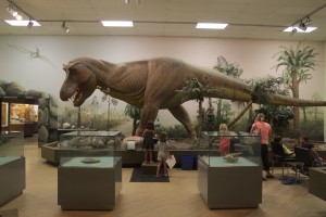 dinosaur